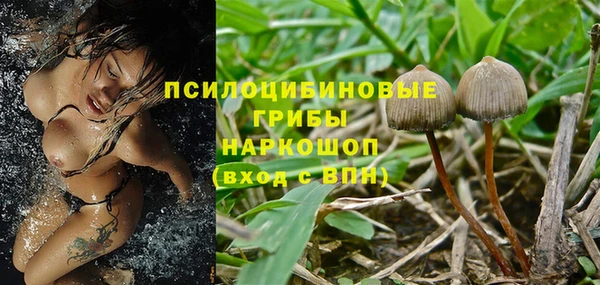 гидропоника Гусиноозёрск