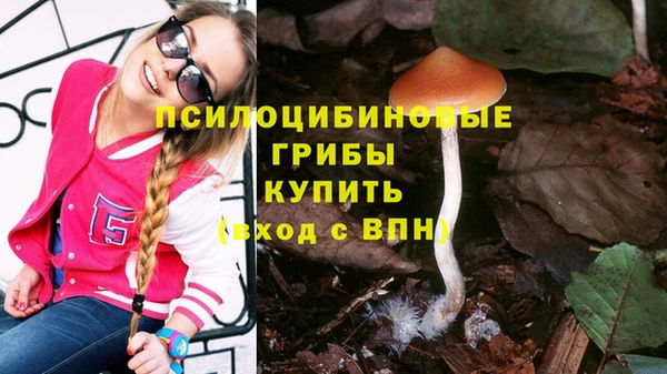 прущие грибы Гусь-Хрустальный