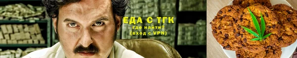 гидропоника Гусиноозёрск