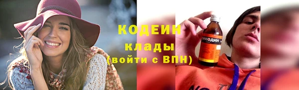 прущие грибы Гусь-Хрустальный