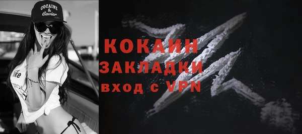 гидропоника Гусиноозёрск