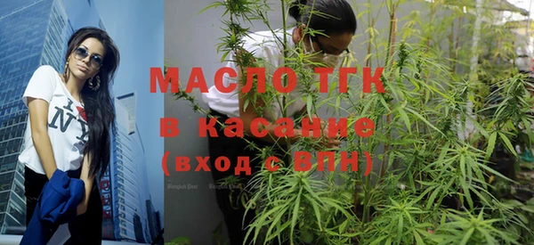 прущие грибы Гусь-Хрустальный