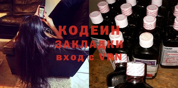прущие грибы Гусь-Хрустальный