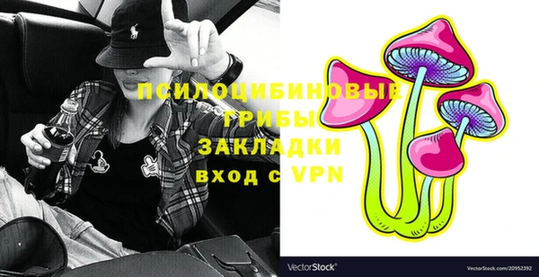 прущая мука Гусев