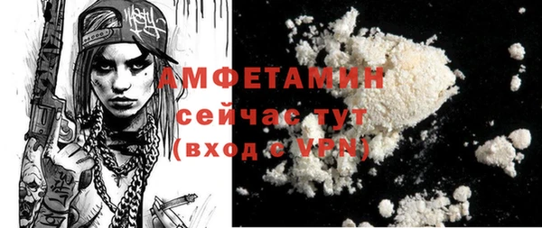 прущие грибы Гусь-Хрустальный
