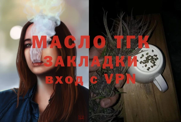 гидропоника Гусиноозёрск