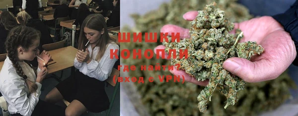 гидропоника Гусиноозёрск