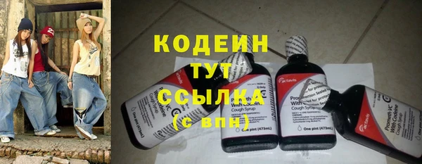 прущие грибы Гусь-Хрустальный